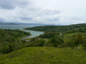 The property overlooks a pretty cove and the paved lake road.